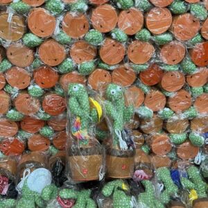 konuşan kaktüs ses taklitli